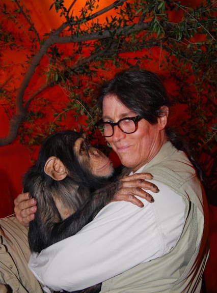 chimp hugging a trainer