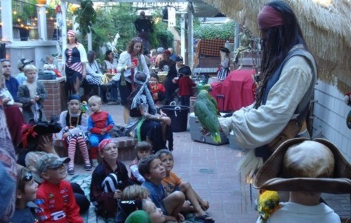 parrot show for a children's birthday party or a pirate theme party