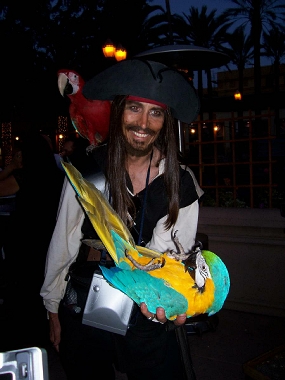 One of our many pirates for hire, a Pirate entertainer with parrots